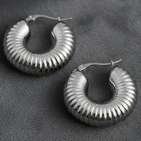 Aros Zoe Plateados