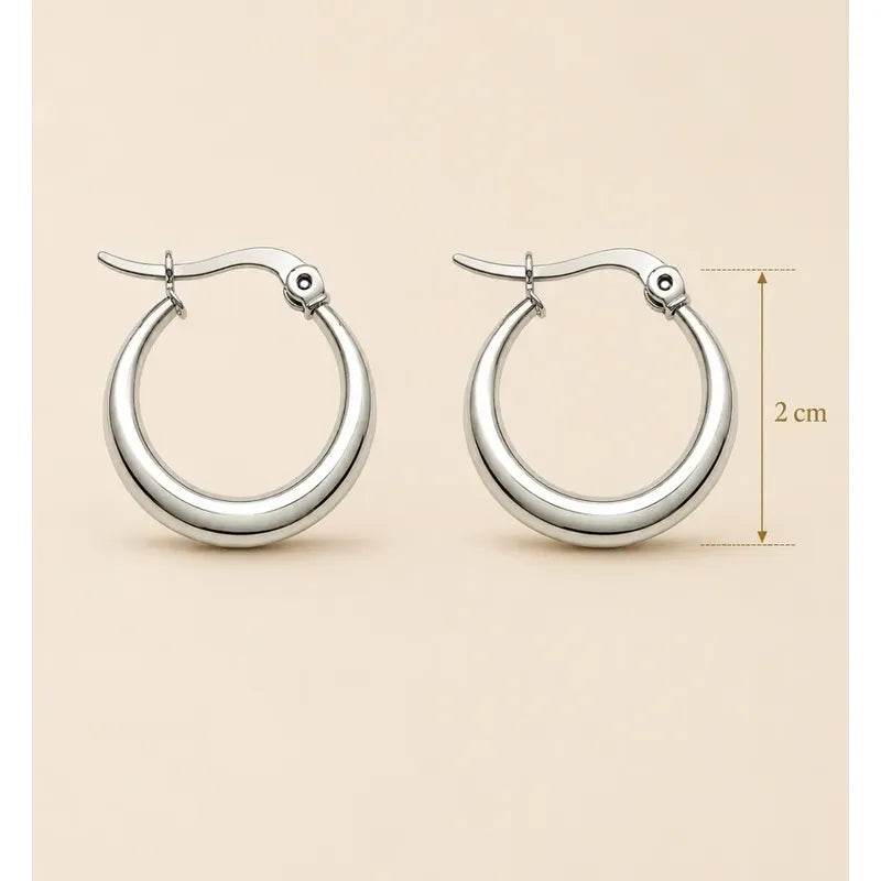 Aros Dana Argollas Plateadas