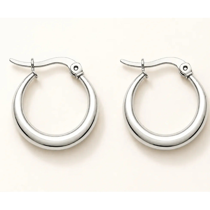 Aros Dana Argollas Plateadas