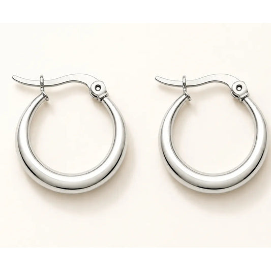 Aros Dana Argollas Plateadas
