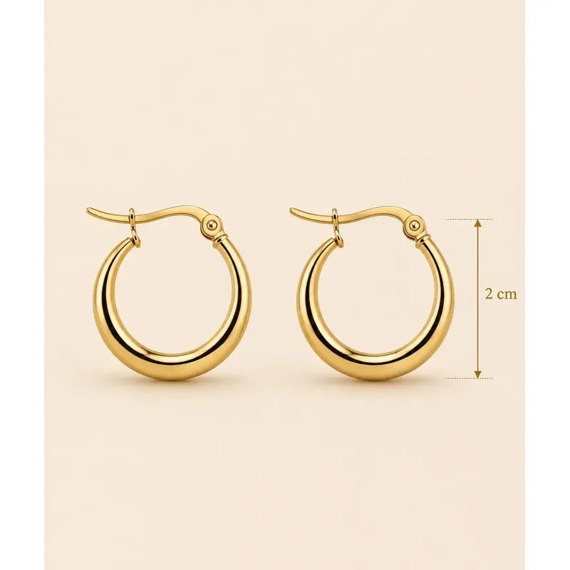 Aros Dana Argollas Doradas