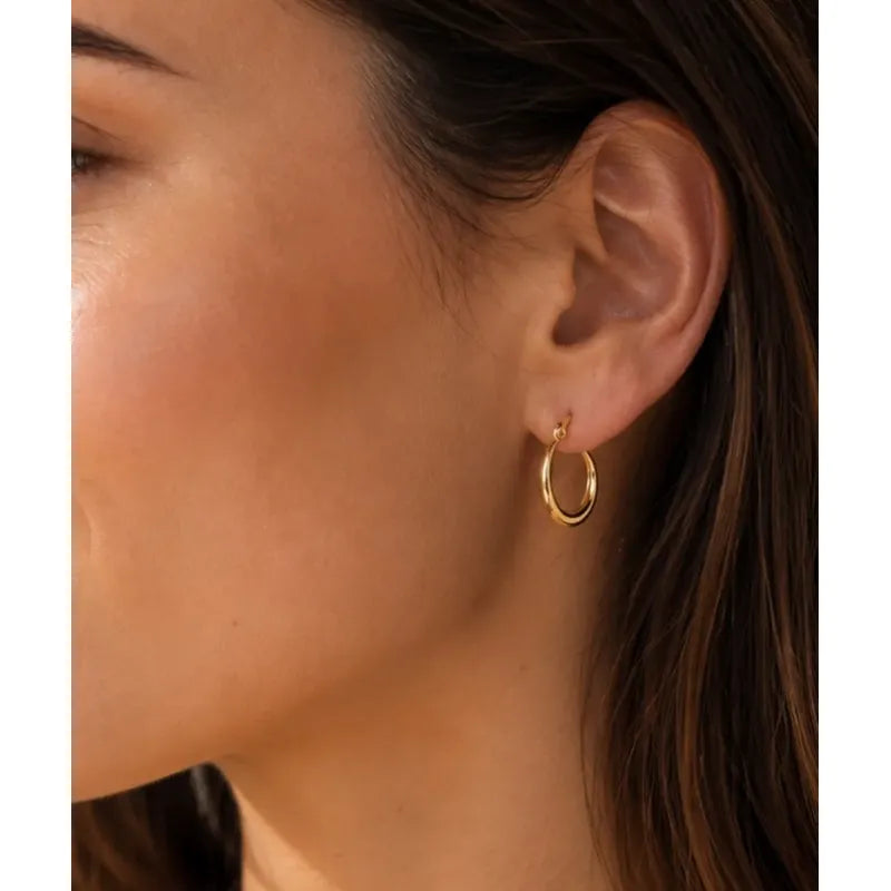 Aros Dana Argollas Doradas