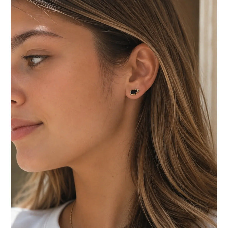 Aros Capibara Niña Mujer Enchapado Oro 8mm Diseño Juvenil Marrón Oscuro
