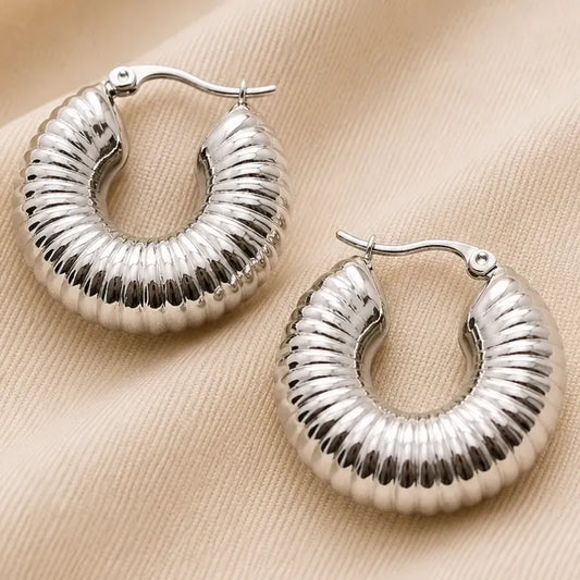 Aros Zoe Plateados